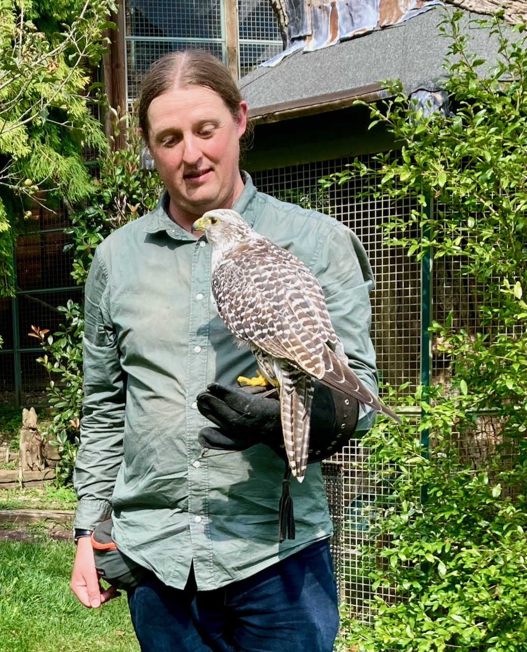 portrait of Gavin Duley